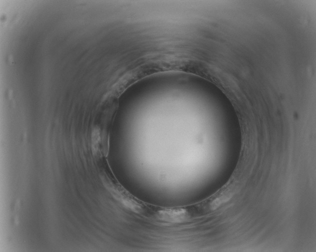 X0000074940480200609081355