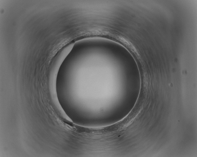 X0000074940481200609081355