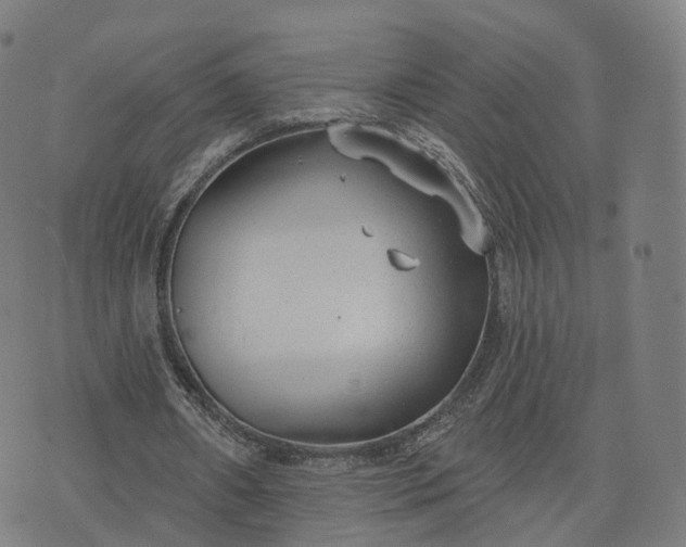 X0000074940482200609081355