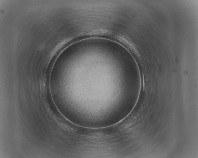 X0000074940483200609081355