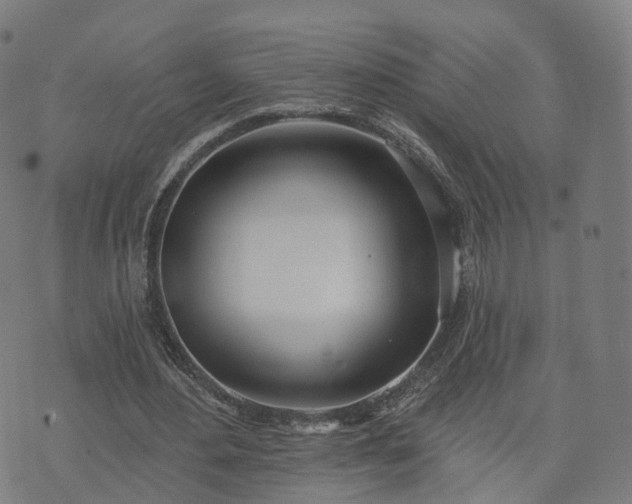 X0000074940484200609081355