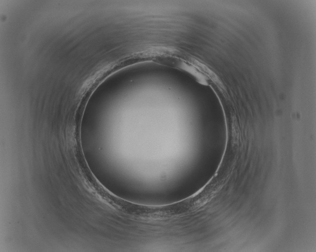 X0000074940485200609081355