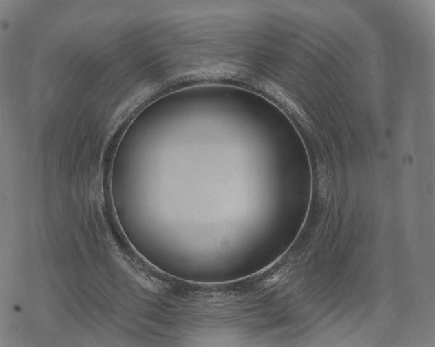 X0000074940486200609081355