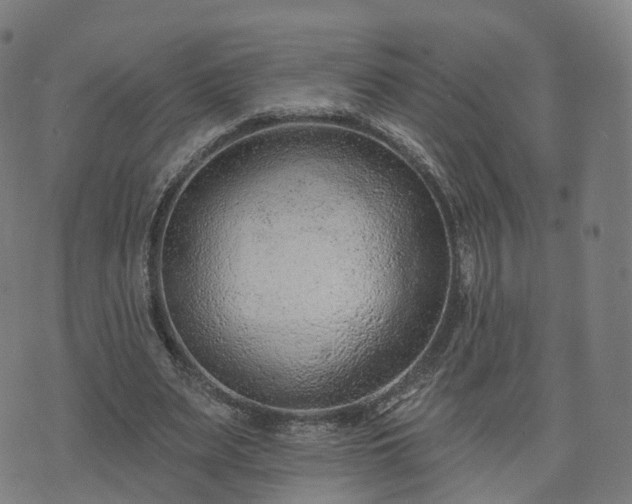 X0000074940487200609081355