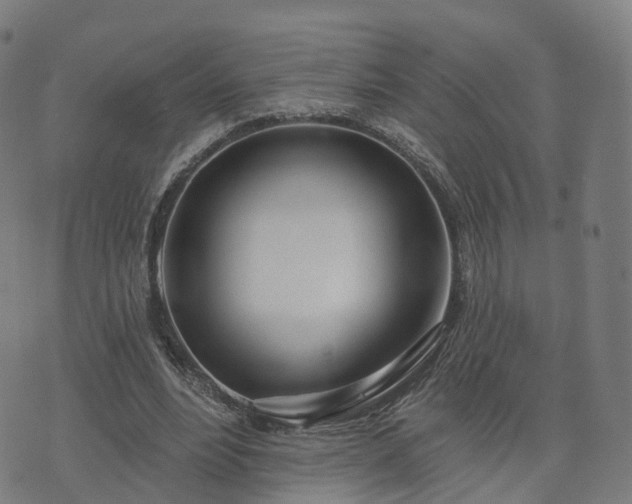 X0000074940488200609081354