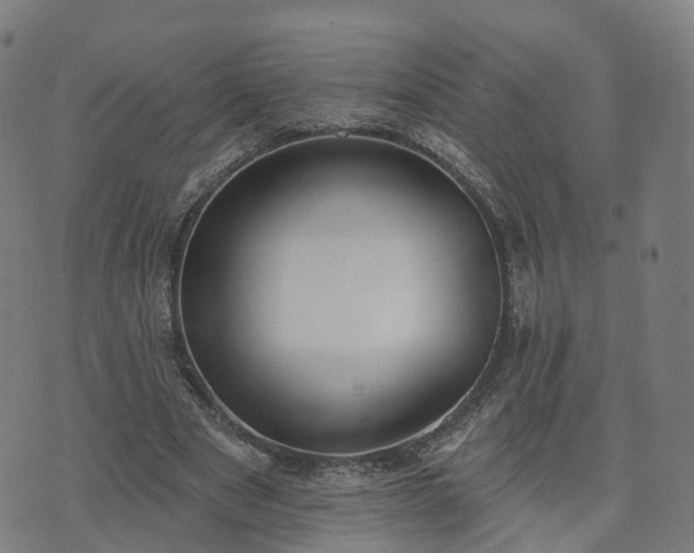 X0000074940489200609081354