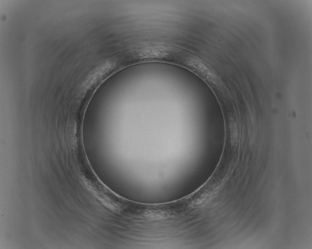 X0000074940490200609081354