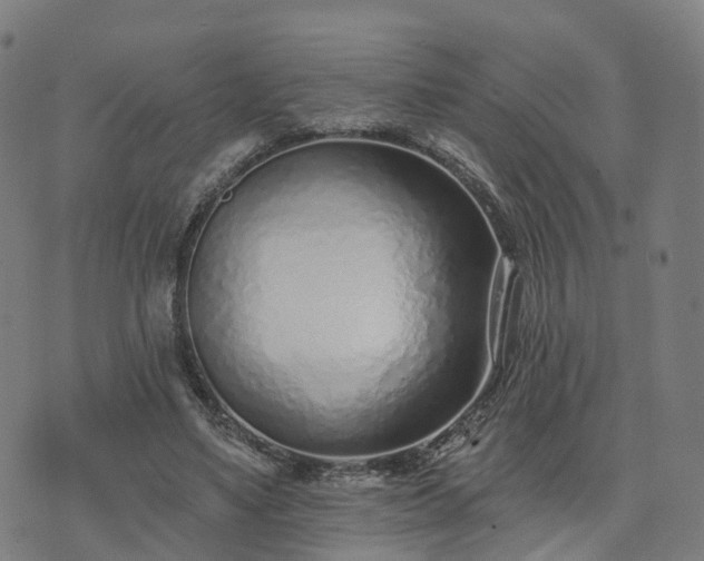 X0000074940491200609081354