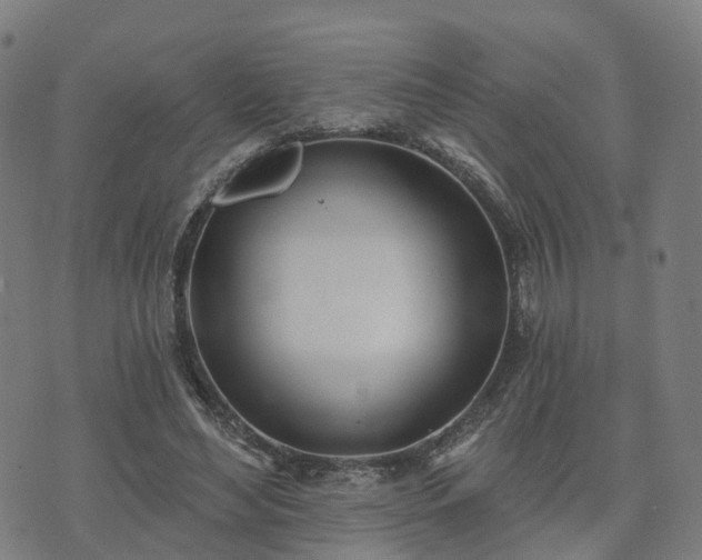 X0000074940492200609081354