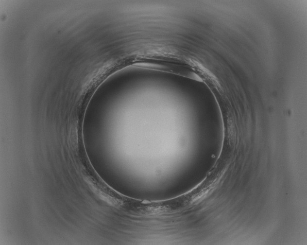 X0000074940493200609081354