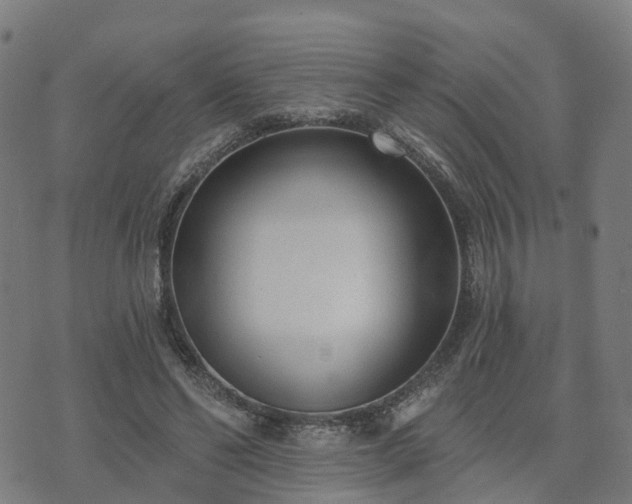 X0000074940494200609081354