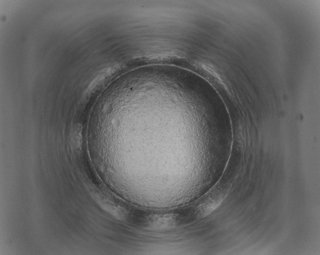 X0000074940495200609081354