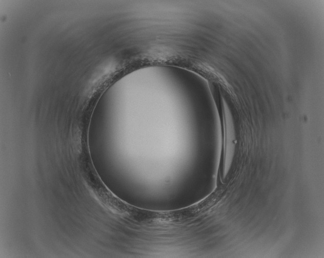 X0000074940496200609081354