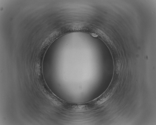 X0000074940497200609081354