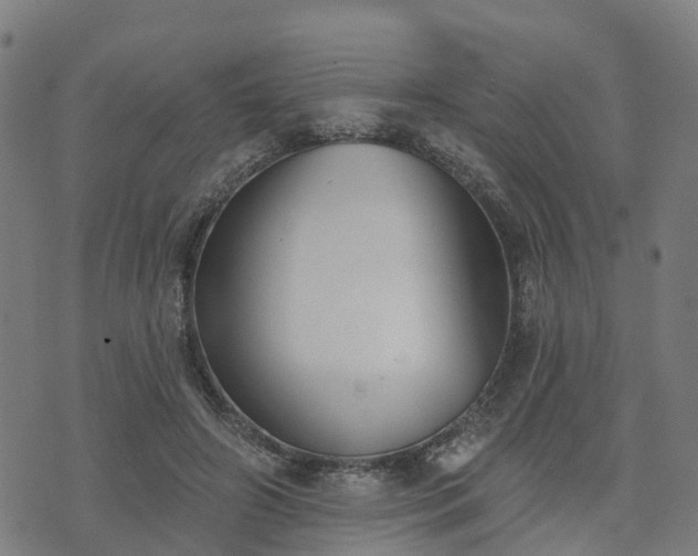 X0000074940498200609081354