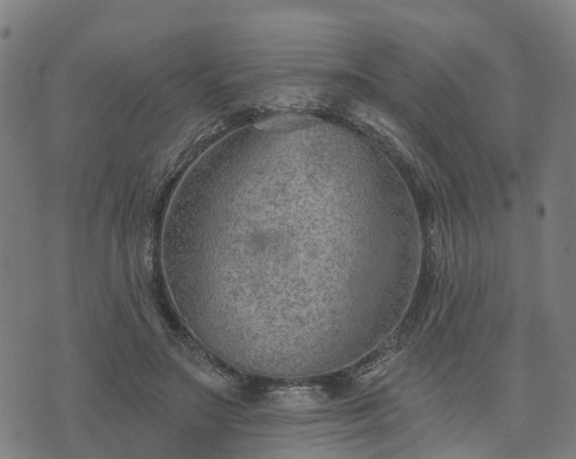 X0000074940499200609081354