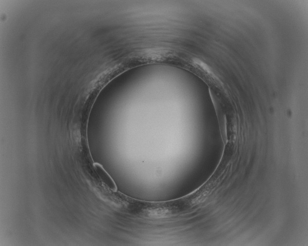 X0000074940500200609081354