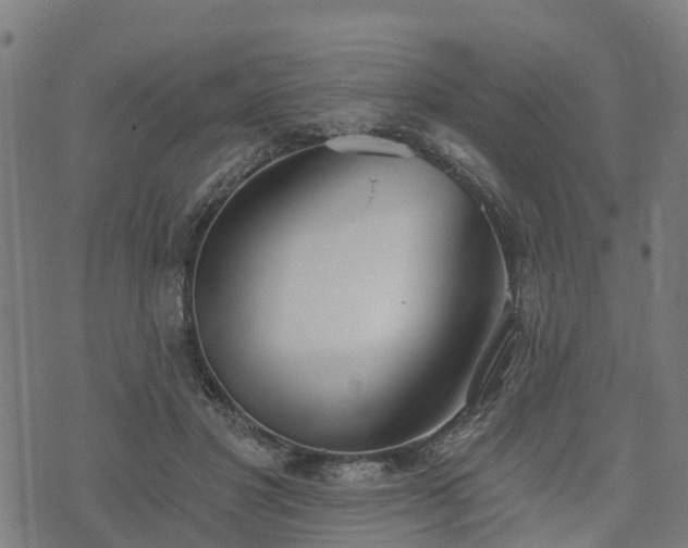 X0000074940501200609081354