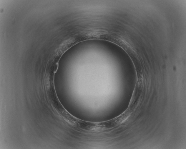 X0000074940504200609081354