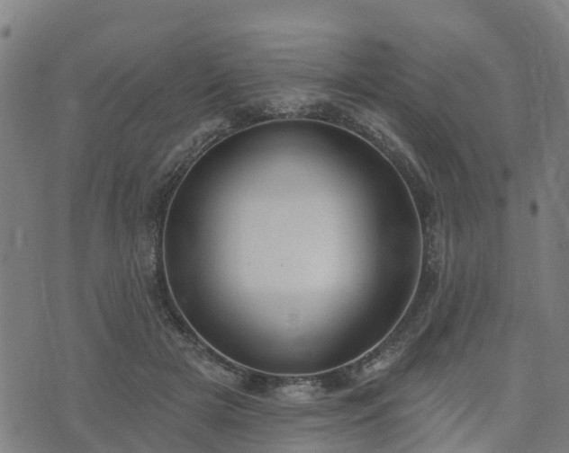 X0000074940505200609081354