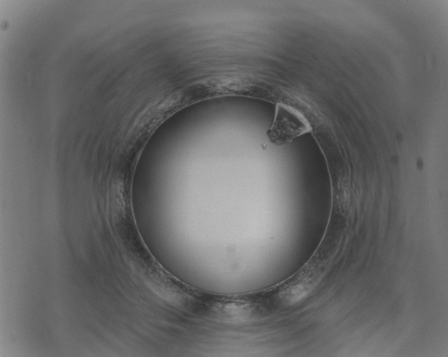 X0000074940506200609081354