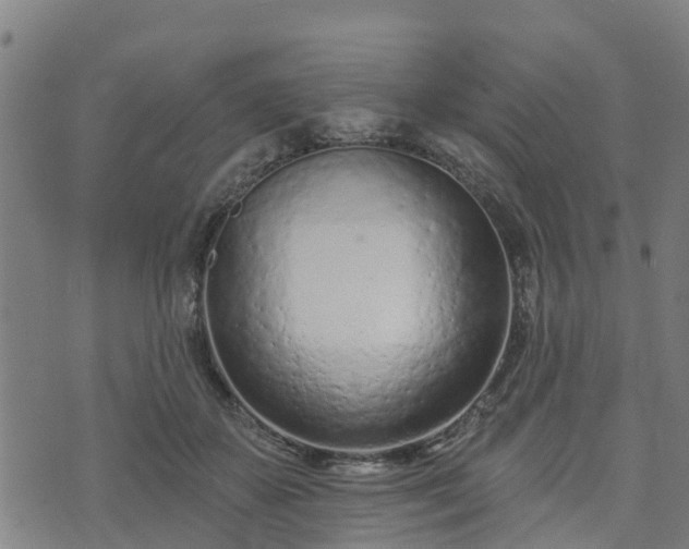 X0000074940507200609081354