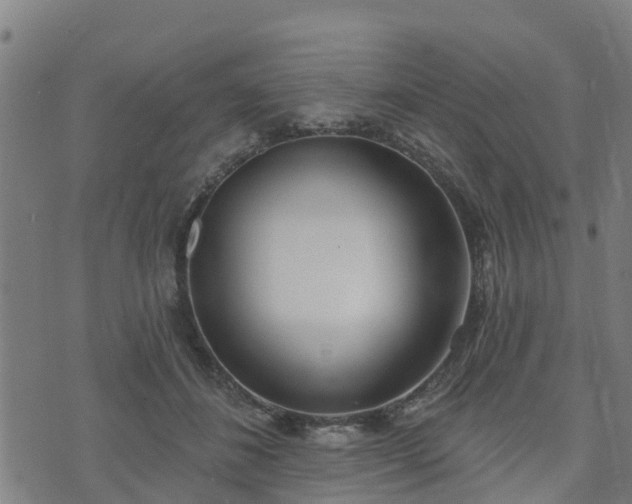 X0000074940508200609081354