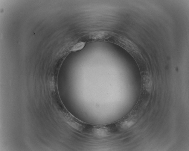 X0000074940510200609081354