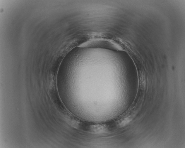 X0000074940511200609081354