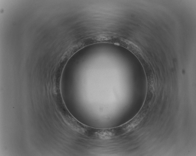 X0000074940512200609081354