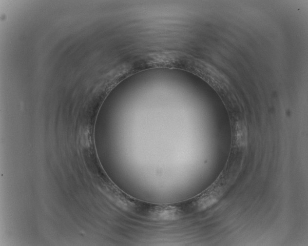 X0000074940514200609081354