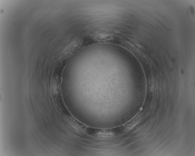 X0000074940515200609081354