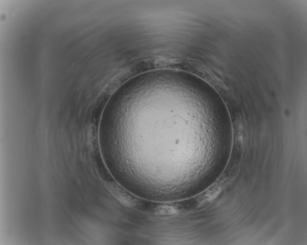 X0000074940519200609081354