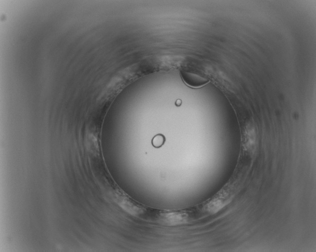 X0000074940522200609081354