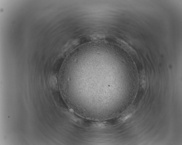 X0000074940523200609081354