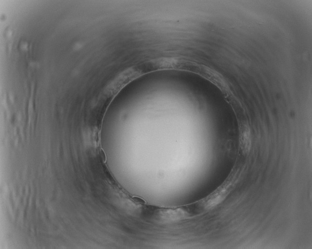 X0000074940525200609081354