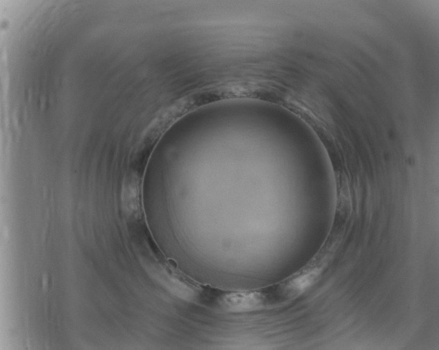 X0000074940526200609081354