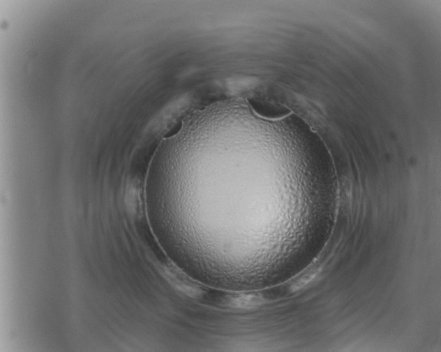 X0000074940527200609081354