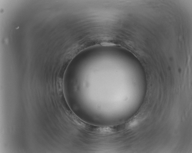 X0000074940528200609081354