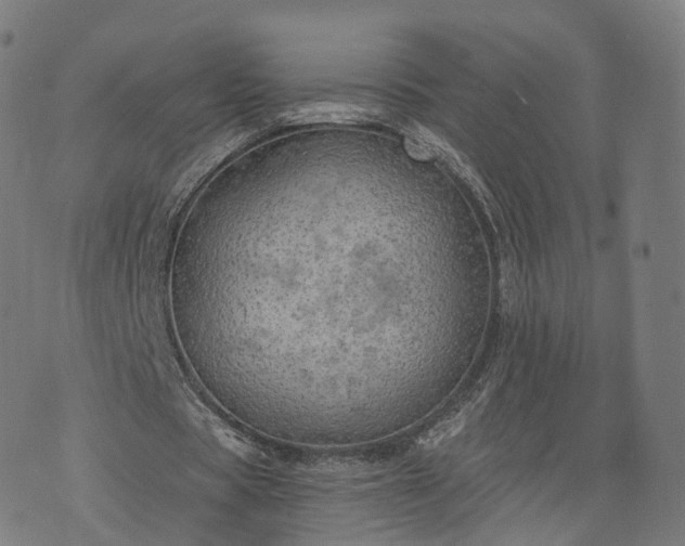 X0000074940529200609081353