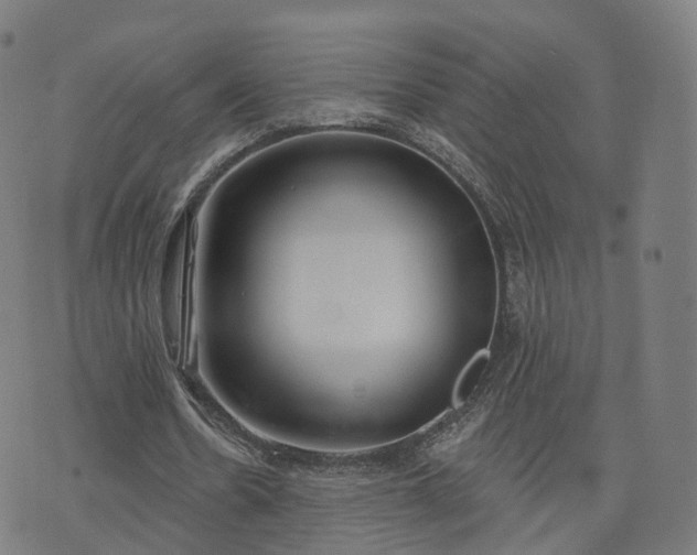 X0000074940530200609081353