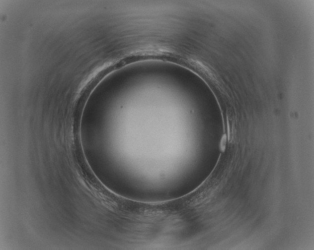 X0000074940531200609081353