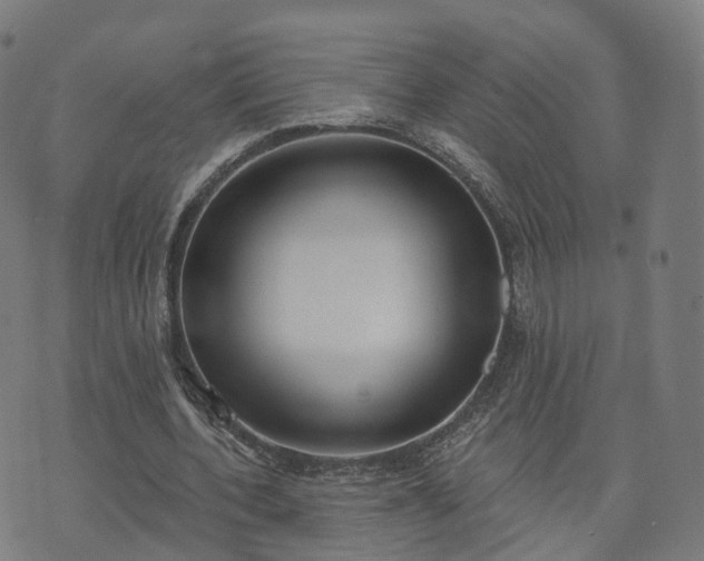 X0000074940532200609081353