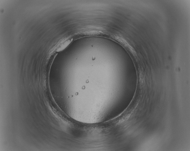 X0000074940533200609081353