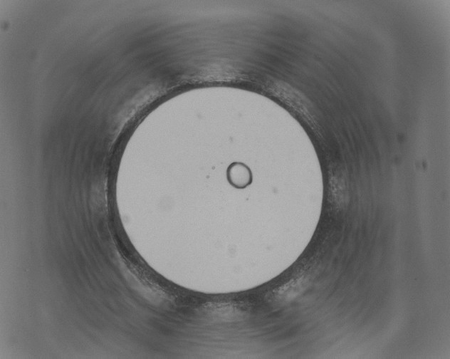 X0000074940534200609081353