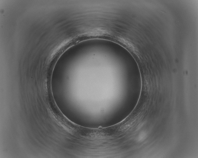 X0000074940535200609081353