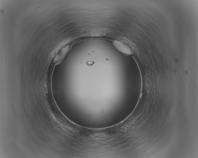 X0000074940536200609081353