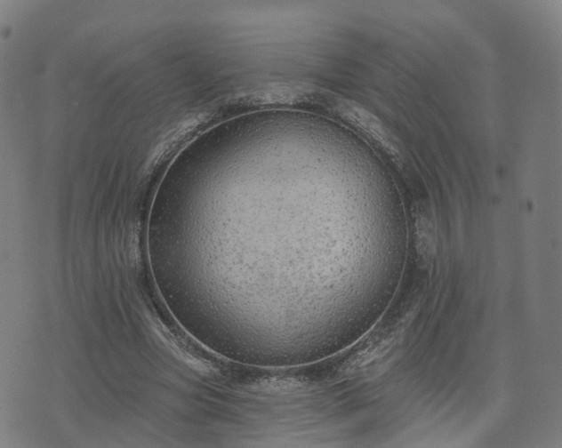 X0000074940537200609081353