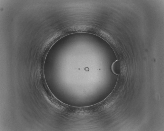 X0000074940538200609081353