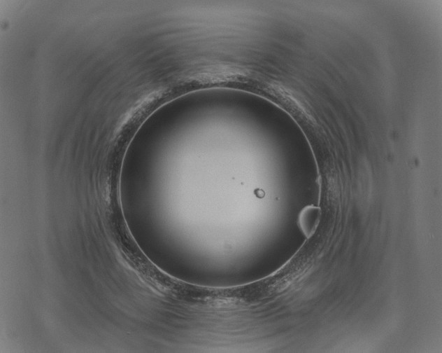 X0000074940539200609081353